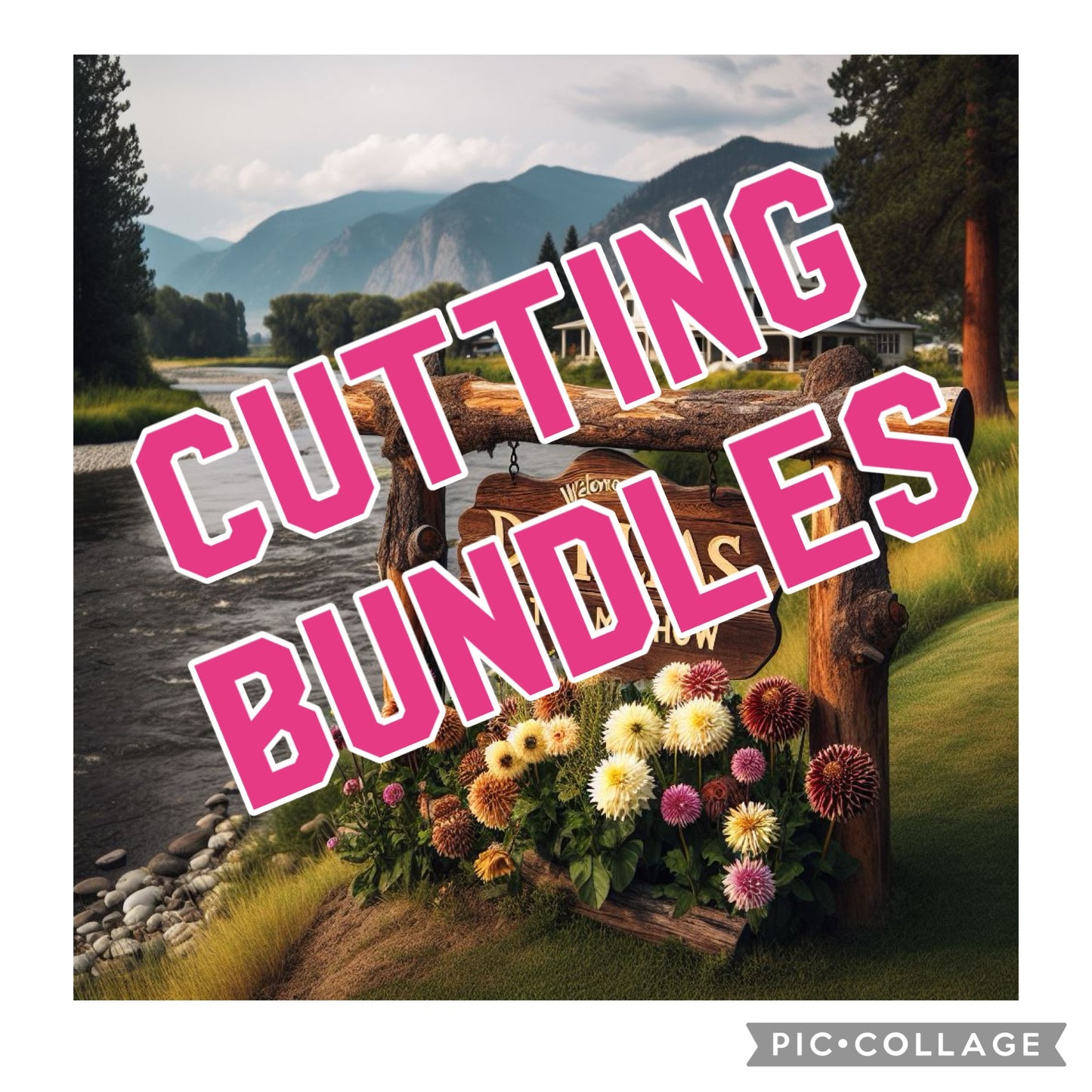 Rooted Cutting Bundle - Custom