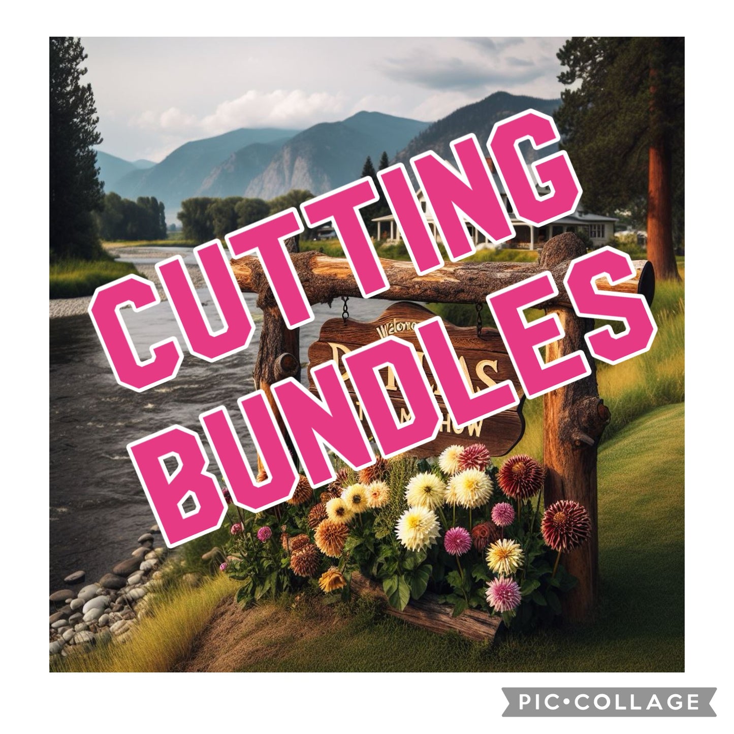 Rooted Cutting Bundle - (TBD)